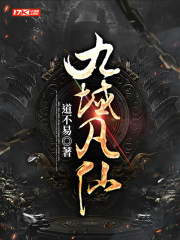 九域凡仙的武道境界